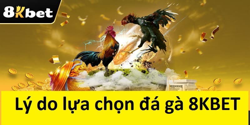 Lựa chọn đá gà tại 8KBET là sự lựa chọn thông minh