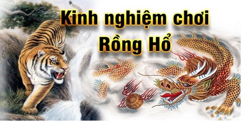 Bỏ túi mẹo tham gia trò chơi rồng hổ giành chiến thắng