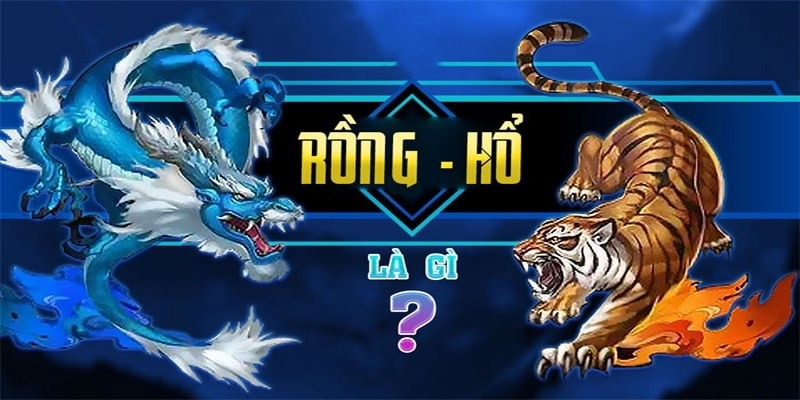 Tìm hiểu về trò chơi rồng hổ